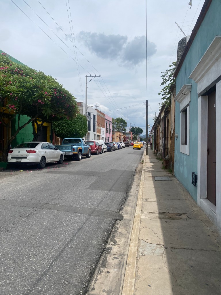 Street view of Oaxaca City where free art was hung as a part of the free art experimental installation and performance.